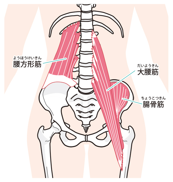 産後の腰痛に対して当院が行うのは骨盤矯正だけでなく、インナーマッスルのトレーニングです。
