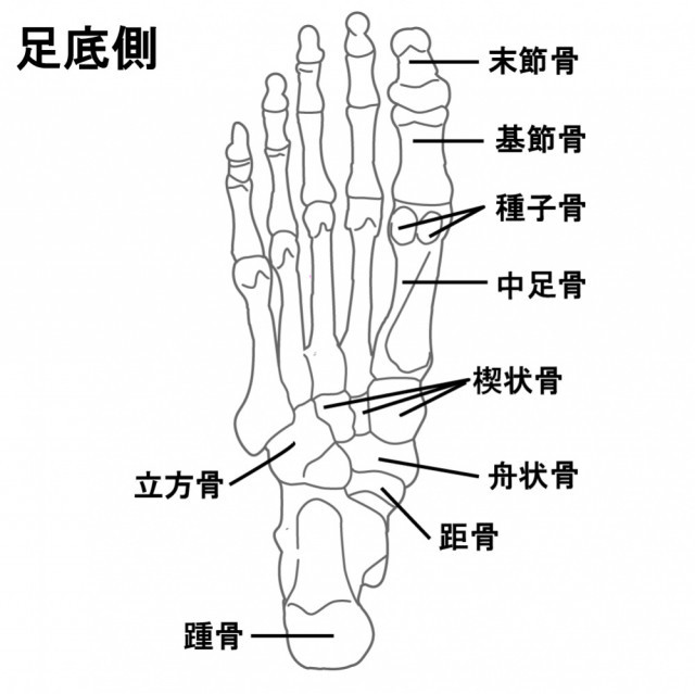 有痛性外脛骨とは?